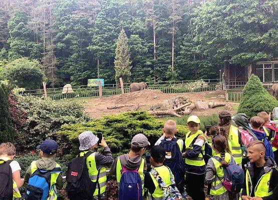 Obserwacja zwierząt grafika