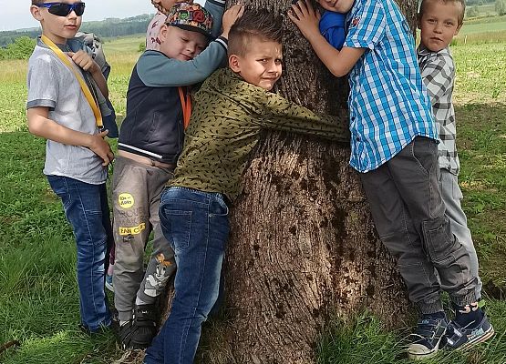 Grafika 1: Przytul się do drzewa