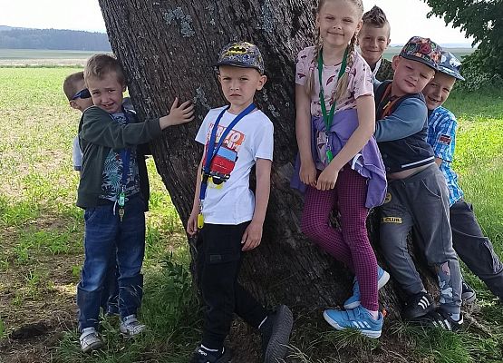 Grafika 2: Przytul się do drzewa