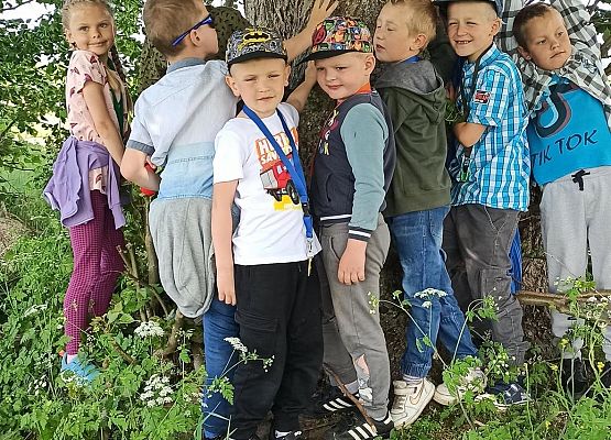 Grafika 3: Przytul się do drzewa