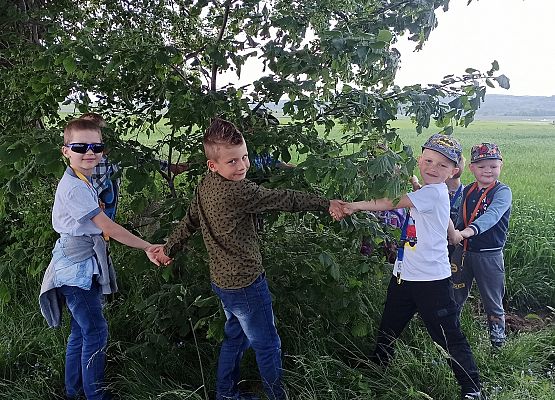 Grafika 4: Przytul się do drzewa