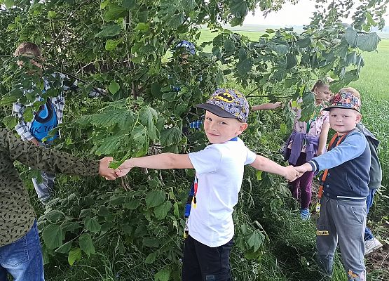 Grafika 5: Przytul się do drzewa