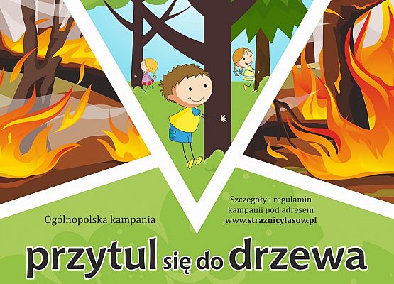 Grafika 6: Przytul się do drzewa