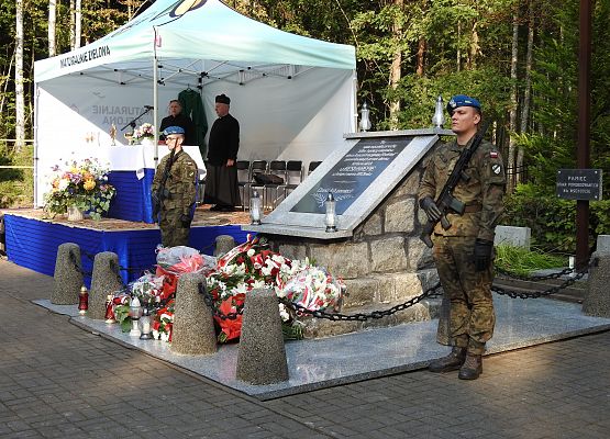 Wojsko przed pomnikiem