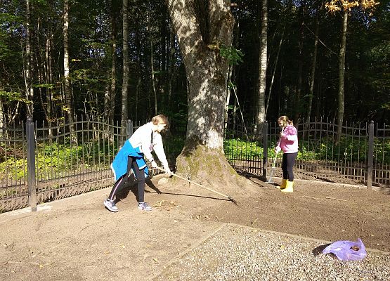 Grafika 5: Sprzątanie cmentarza w Krępie Kaszubskiej