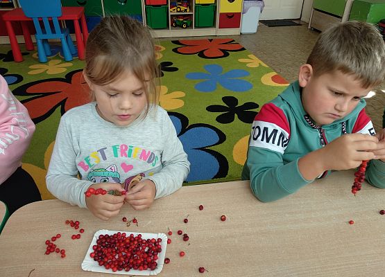 Grafika 11: GALERIA PRACUSIÓW