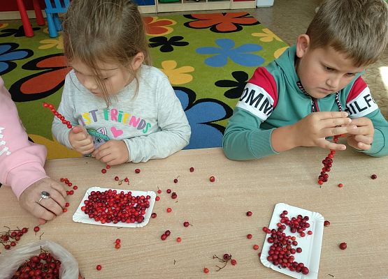 Grafika 12: GALERIA PRACUSIÓW