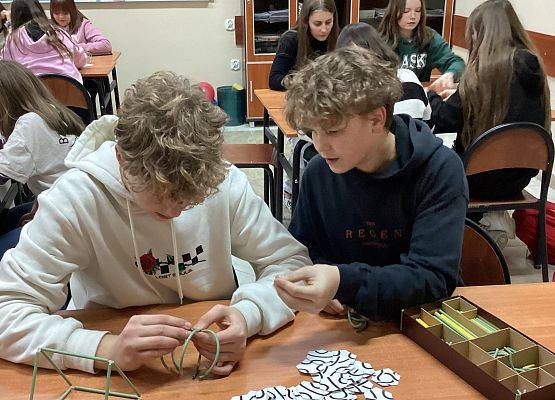 Pokazy i warsztaty naukowe z matematyki, informatyki, biologii, filozofii oraz języka angielskiego w LO nr1