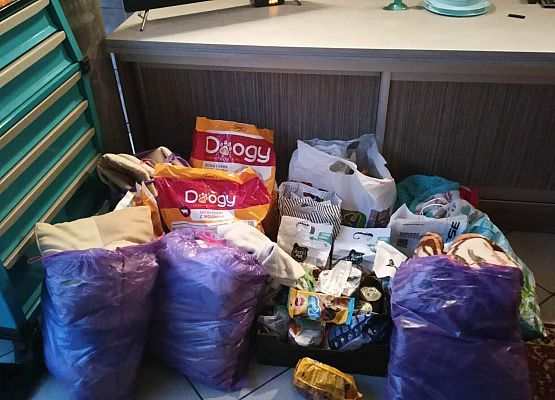 Schronisko Małoszyce