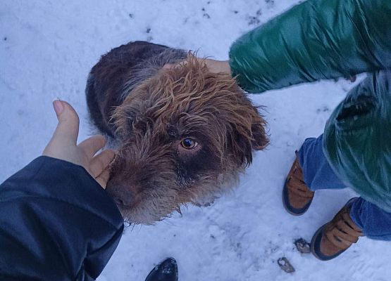 Schronisko Małoszyce