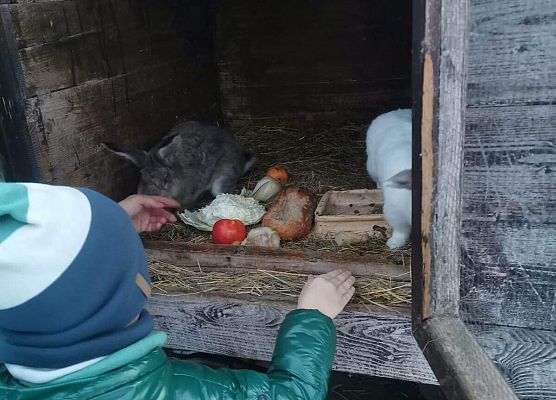 Schronisko Małoszyce