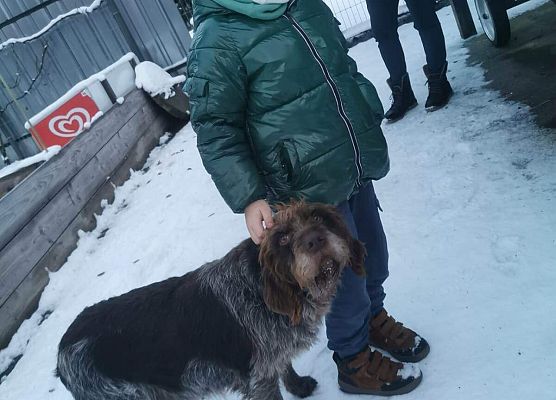 Schronisko Małoszyce