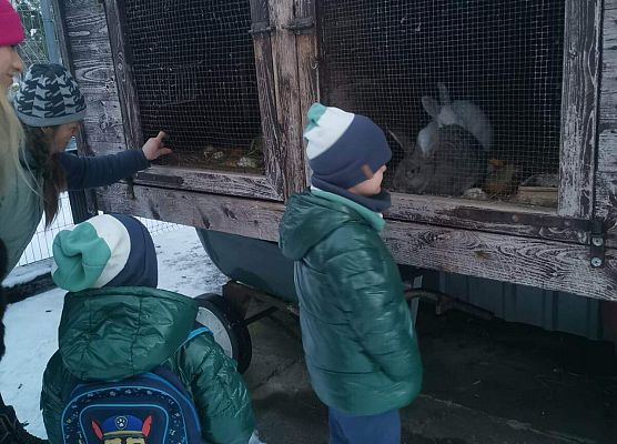 Schronisko Małoszyce