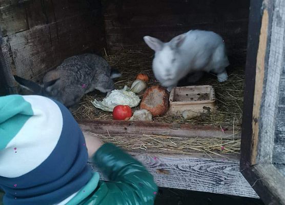 Schronisko Małoszyce