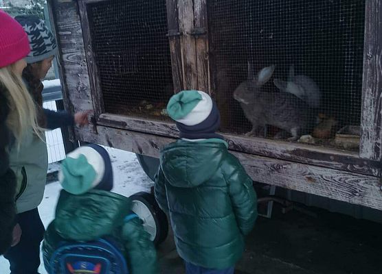 Schronisko Małoszyce