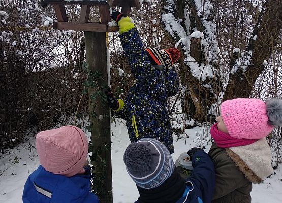 Grafika 3: ZABAWY ZE ŚNIEGIEM