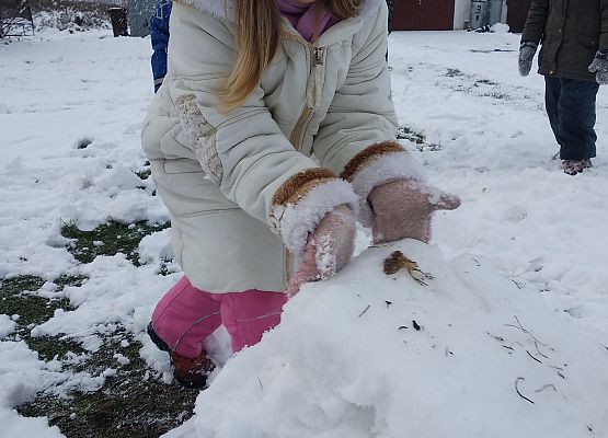 Grafika 11: ZABAWY ZE ŚNIEGIEM