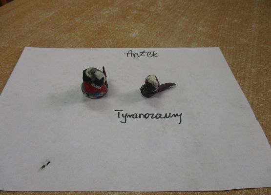 Świat dinozaurów - starsza grupa