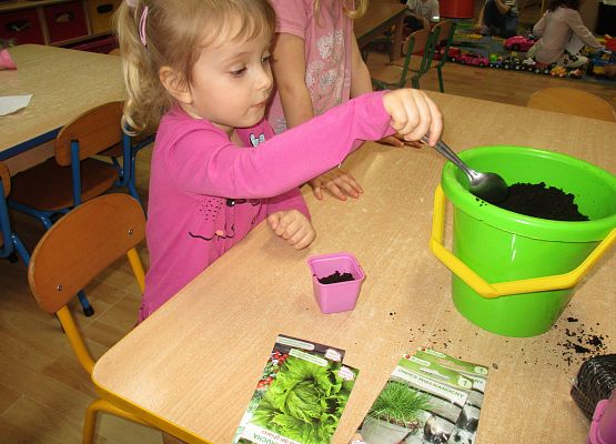 Grafika 50: Galeria Przedszkolaka