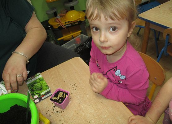 Grafika 51: Galeria Przedszkolaka