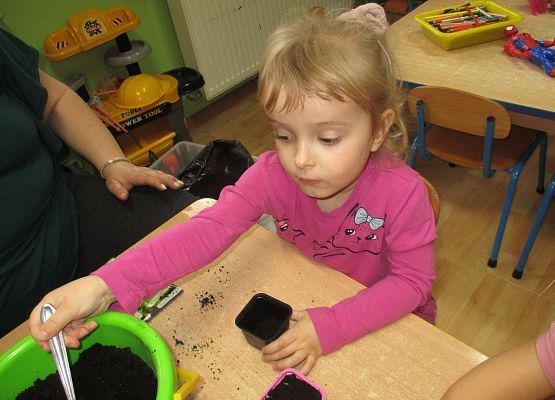 Grafika 53: Galeria Przedszkolaka