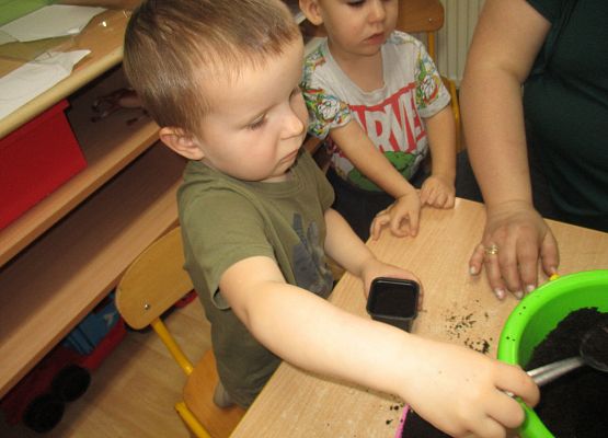 Grafika 48: Galeria Przedszkolaka