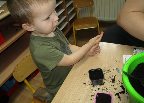 Grafika 49: Galeria Przedszkolaka