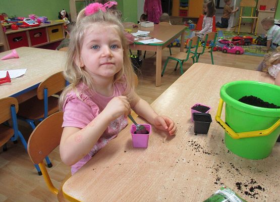 Grafika 58: Galeria Przedszkolaka