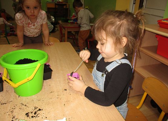 Grafika 61: Galeria Przedszkolaka