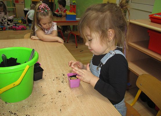 Grafika 62: Galeria Przedszkolaka