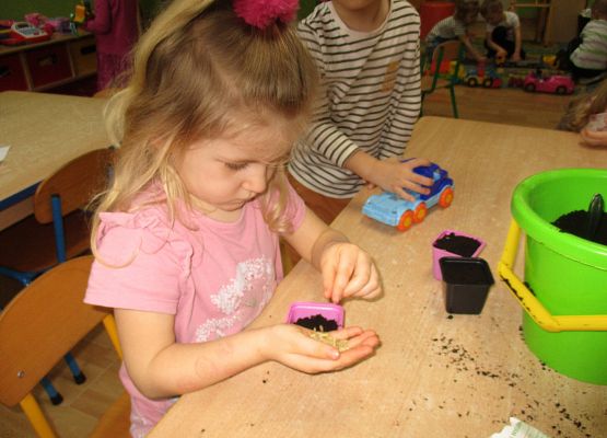 Grafika 59: Galeria Przedszkolaka