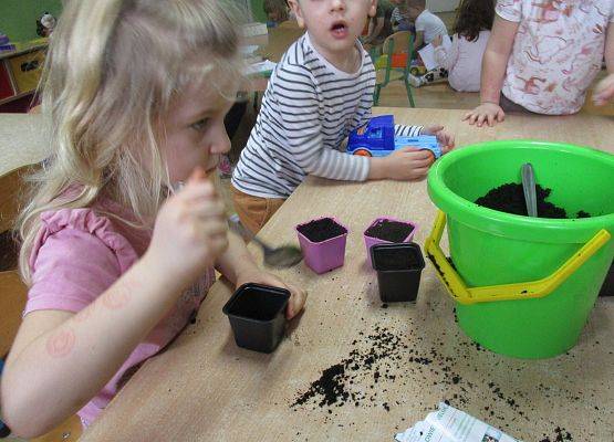 Grafika 60: Galeria Przedszkolaka