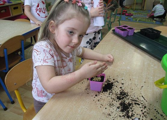 Grafika 65: Galeria Przedszkolaka