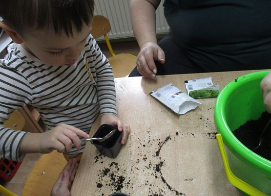 Grafika 70: Galeria Przedszkolaka