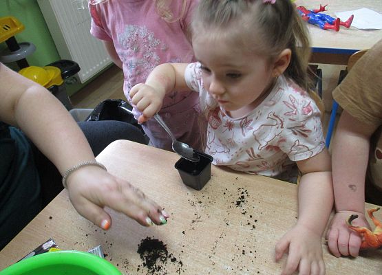 Grafika 67: Galeria Przedszkolaka