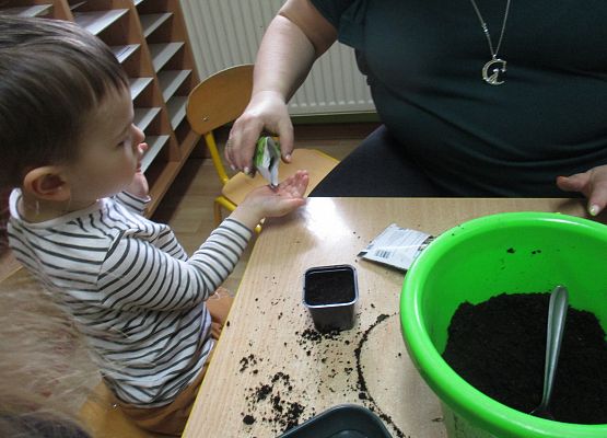 Grafika 71: Galeria Przedszkolaka