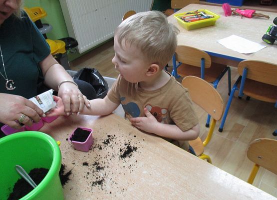 Grafika 77: Galeria Przedszkolaka