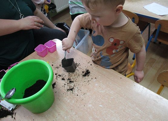 Grafika 78: Galeria Przedszkolaka