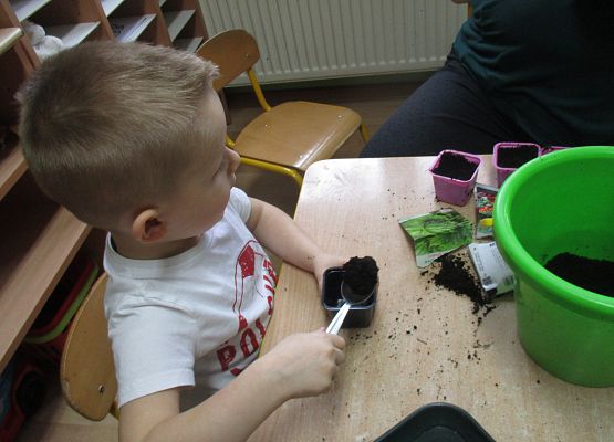 Grafika 74: Galeria Przedszkolaka