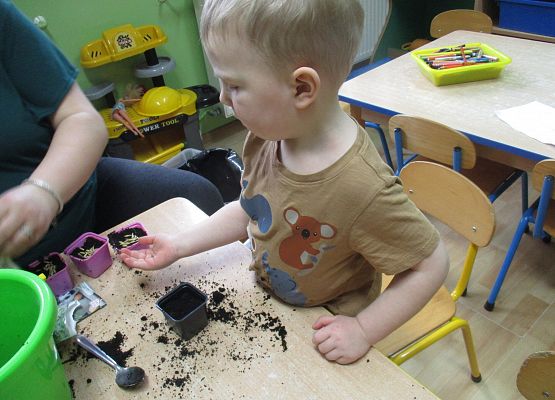 Grafika 79: Galeria Przedszkolaka