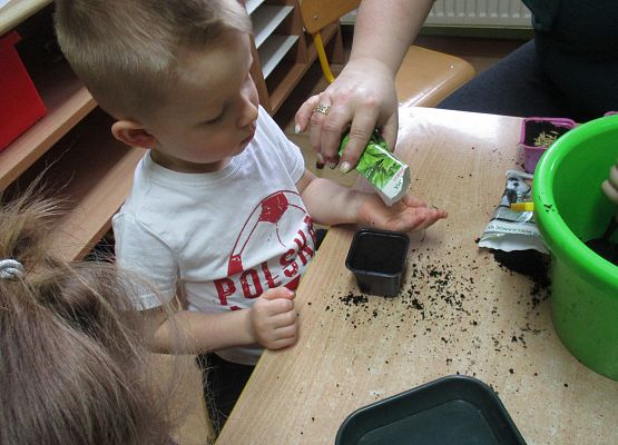 Grafika 75: Galeria Przedszkolaka