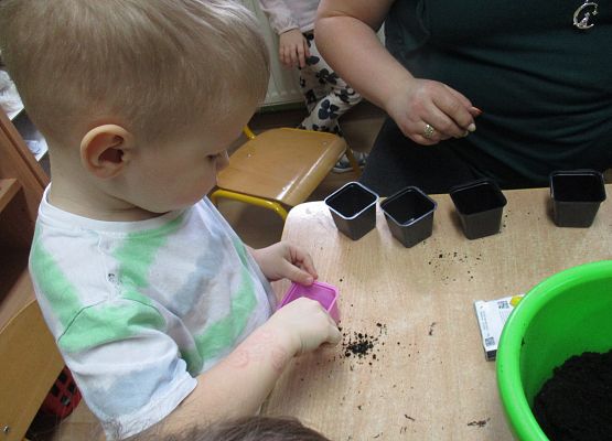 Grafika 80: Galeria Przedszkolaka