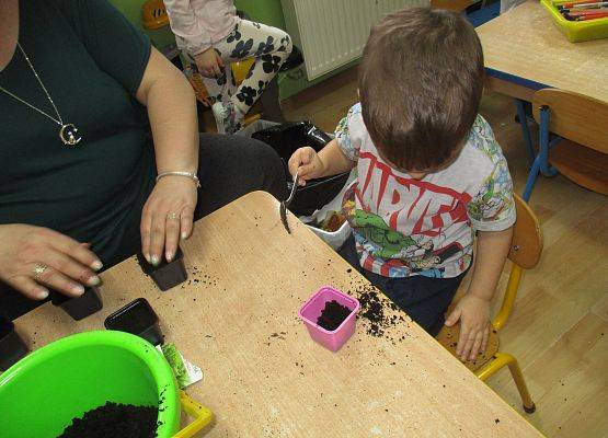 Grafika 84: Galeria Przedszkolaka