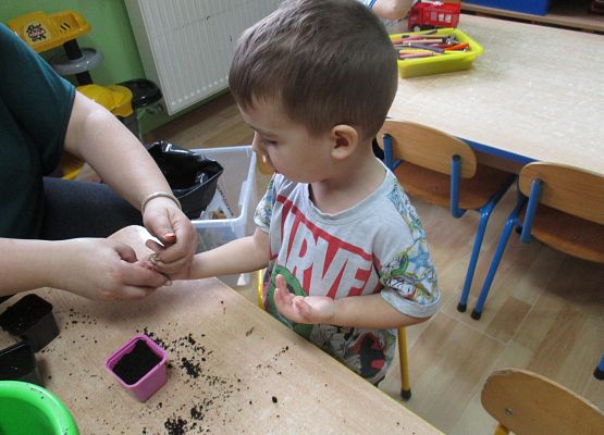 Grafika 86: Galeria Przedszkolaka