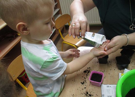 Grafika 81: Galeria Przedszkolaka