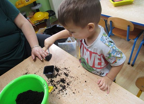 Grafika 87: Galeria Przedszkolaka