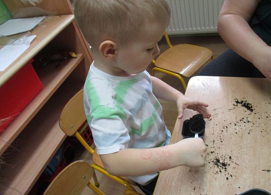 Grafika 82: Galeria Przedszkolaka