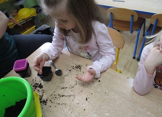 Grafika 92: Galeria Przedszkolaka