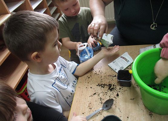 Grafika 96: Galeria Przedszkolaka