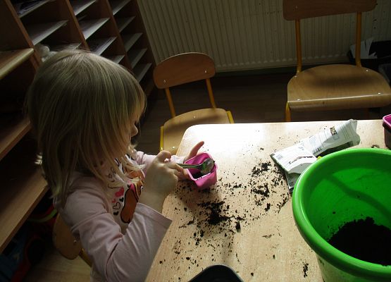 Grafika 101: Galeria Przedszkolaka